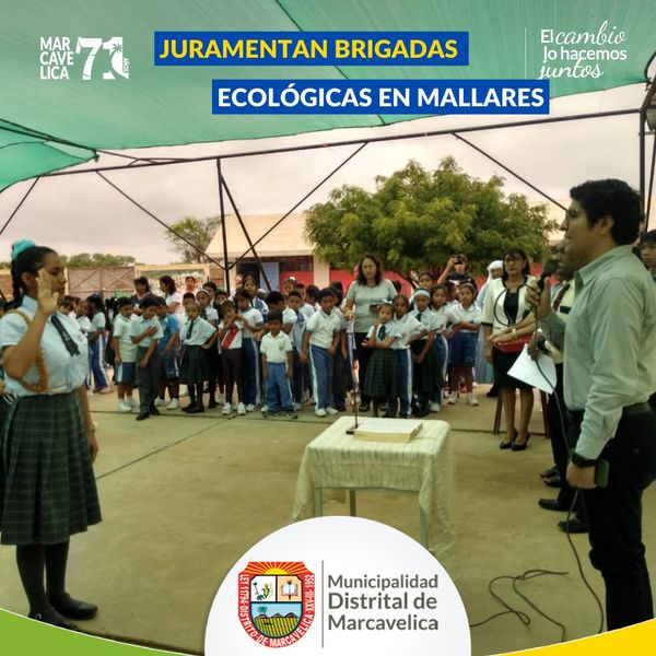 BRIGADAS ECOLOGICAS
