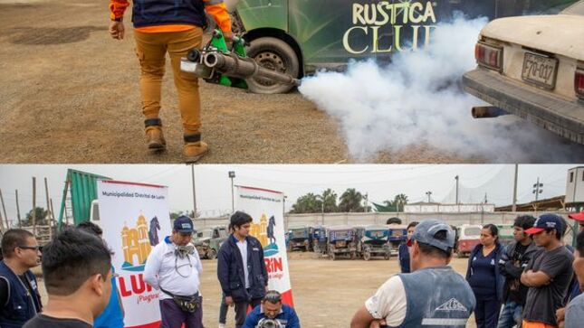 Archivo de JPG sobre una publicación del área de imagen