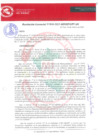 Vista preliminar de documento 0010