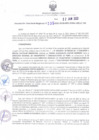 Vista preliminar de documento R.D.R.N°335-2023