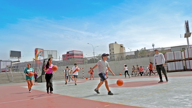 academia ipd