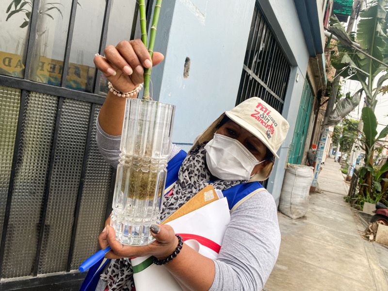 Foto 2 de Más de 167 mil viviendas de Lima Centro fueron intervenidas en control larvario y entomológico frente al dengue