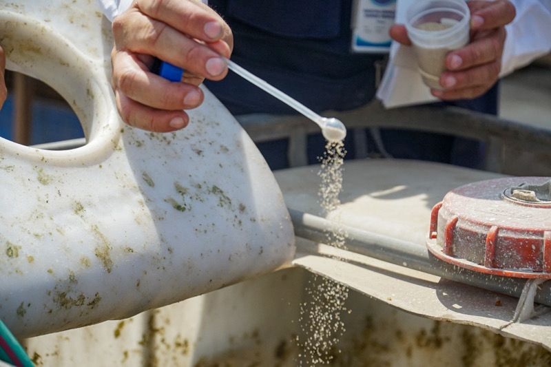 Foto 3 de Más de 167 mil viviendas de Lima Centro fueron intervenidas en control larvario y entomológico frente al dengue
