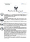 Vista preliminar de documento RD 091-2023-SA-DG-INR