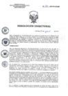 Vista preliminar de documento RD 093-2023-SA-DG-INR