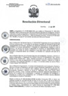 Vista preliminar de documento RD 094-2023-SA-DG-INR