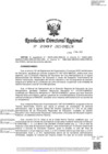 Vista preliminar de documento RDR-2007-2022-DRELMAprLs