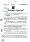 Vista preliminar de documento R.D N° 193.DG.HNHU.2023