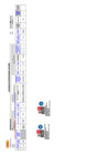 Vista preliminar de documento Anexo