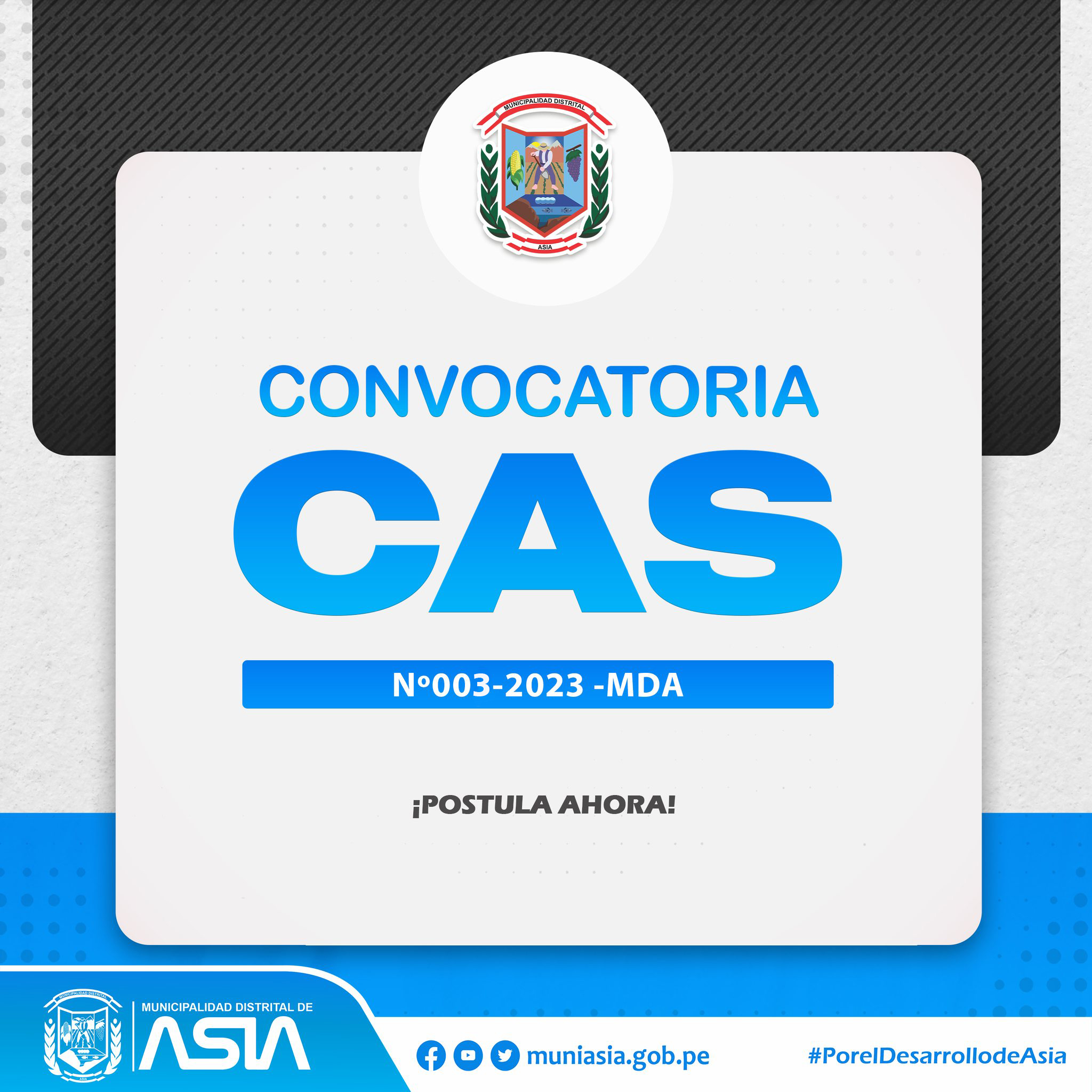 CAS N03-2023