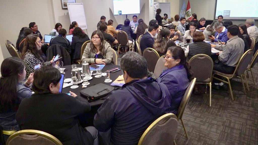 Minsa viceministra de Salud Pública y comité de expertos de inmunizaciones se reúnen para fortalecer la vacunación en el Perú-4