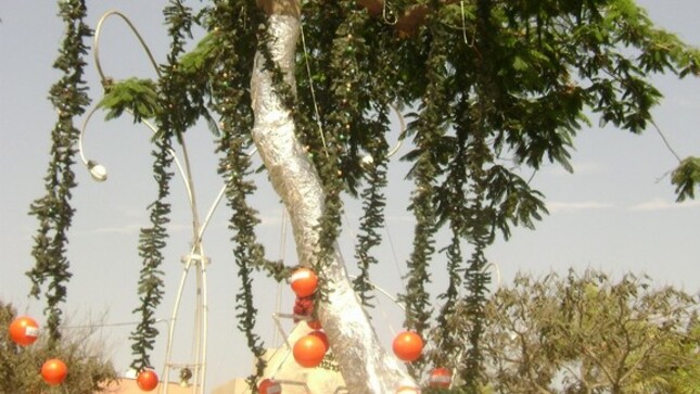 Foto 1