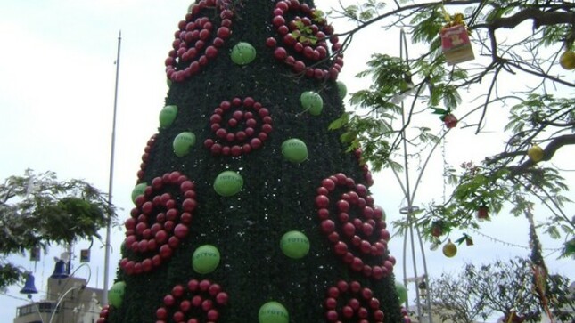 Foto 1