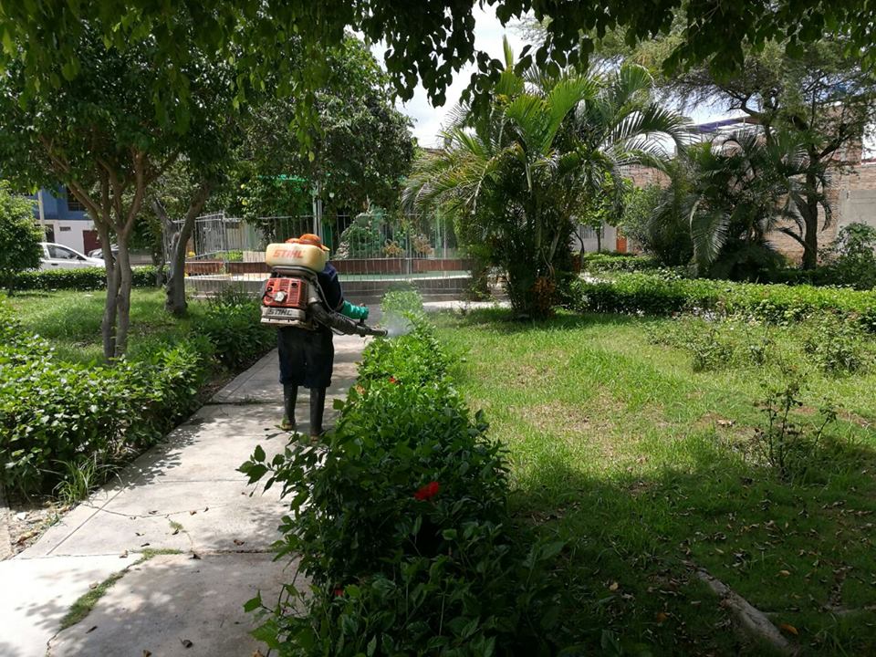 Foto 2
