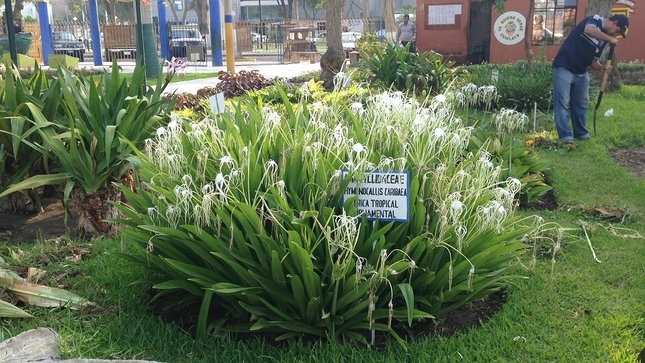 Foto 1