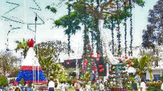 Foto 1