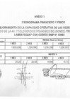 Vista preliminar de documento  Anexo : Cronograma Financiero y Fisico xbzsu