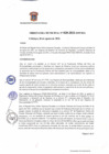 Vista preliminar de documento ORDENANZA MUNICIPAL Nº 0020-2021-MPCH-AuTDIM