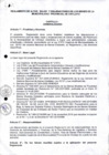 Vista preliminar de documento  ReglamentoM3iYw
