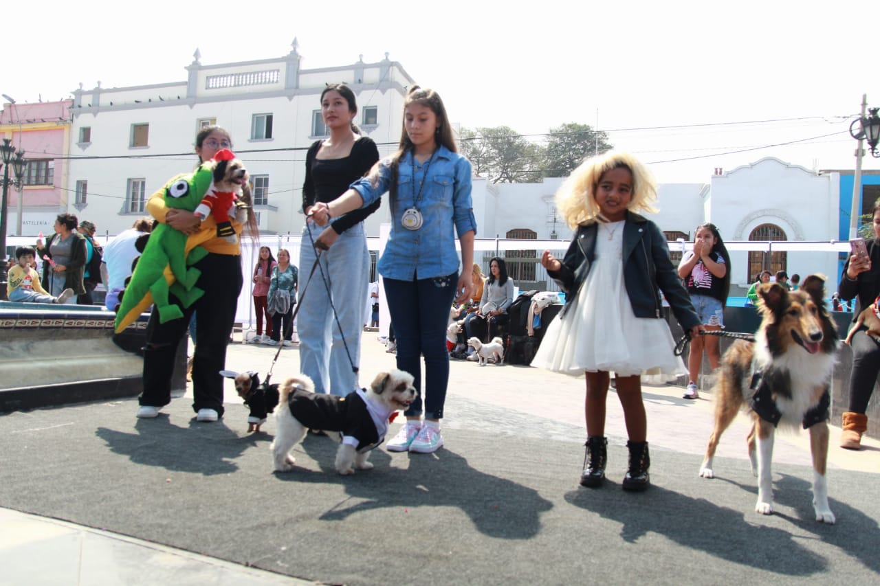 Los cuatro finalistas: 'el Chavo', 'Tonny', 'Kea' y 'Muñeco'