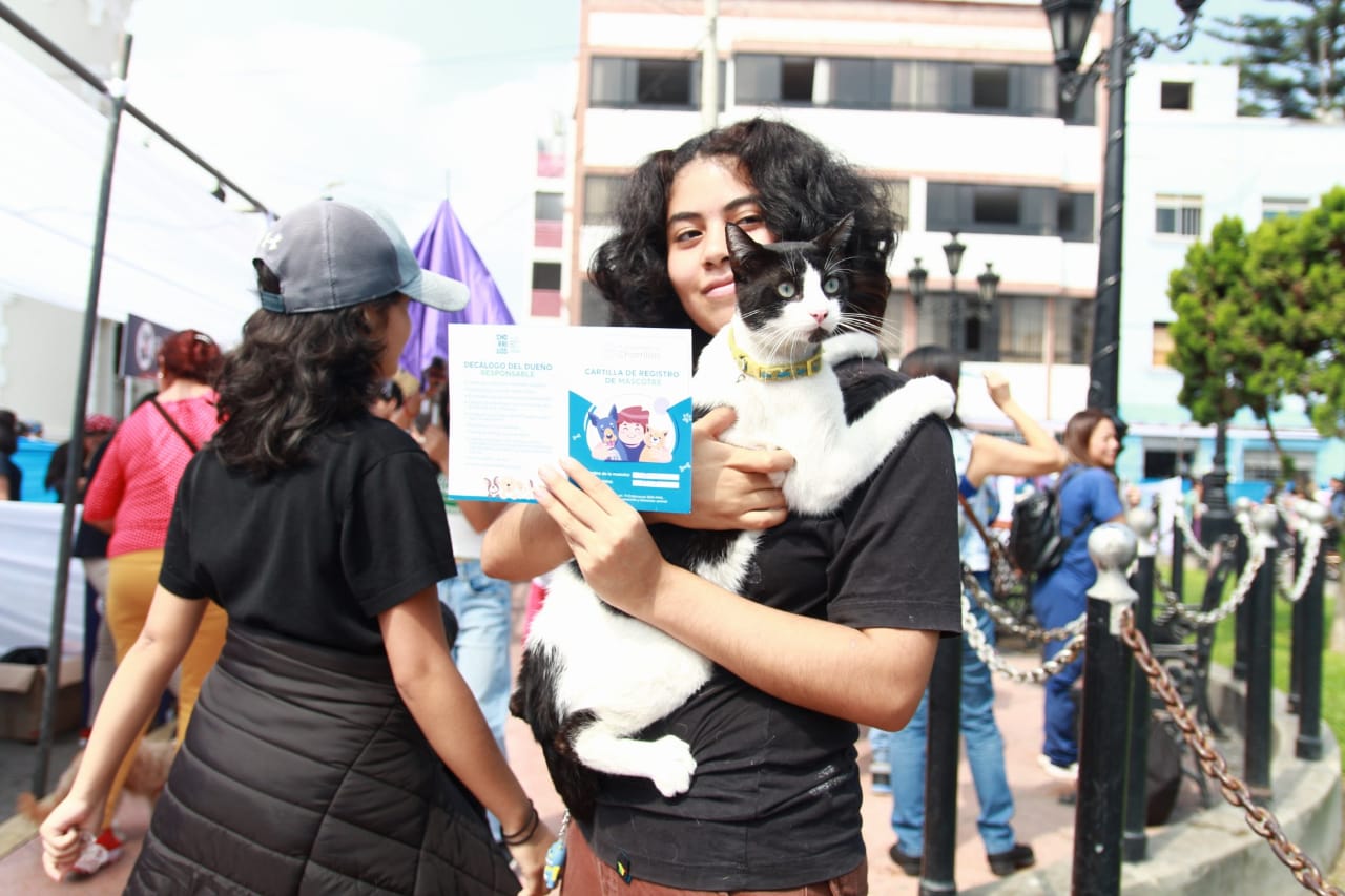 Los gatitos también participaron de la jornada veterinaria gratuita 