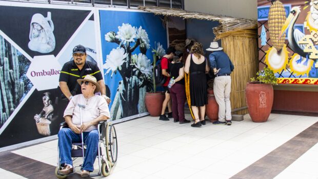 Accesibilidad a los sitios
