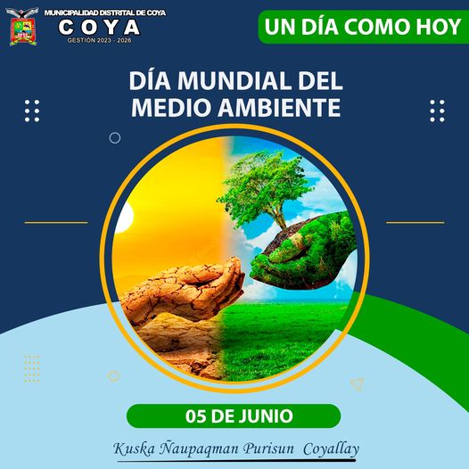 DIA MUNDIAL DE MEDIO AMBIENTE