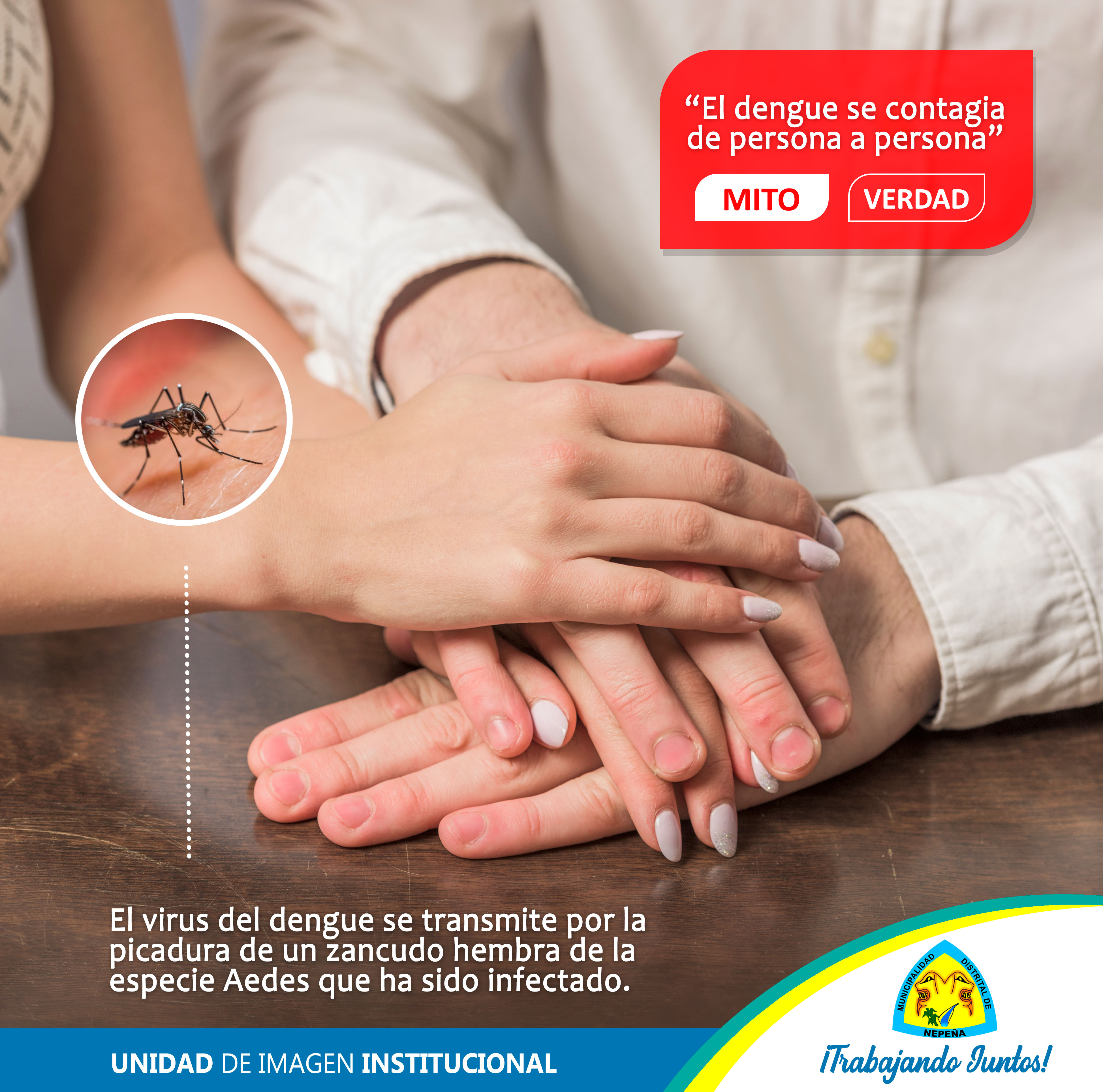 Mitos y Verdades acerca del #Dengue