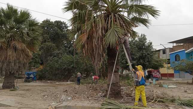 "Prohibido arrojar desmonte"