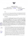 Vista preliminar de documento RDR N° 0339-2023-23-06-2023