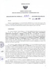 Vista preliminar de documento RDR N° 0341-2023-23-06-2023