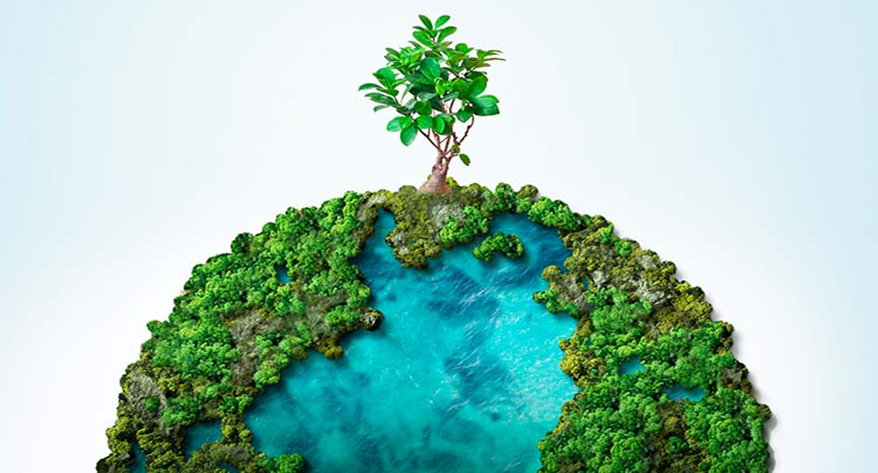 FOTO MUNDO VERDE