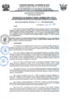 Vista preliminar de documento 2022-12-23_RGR_1462-2022-GOREMAD-GRFFS