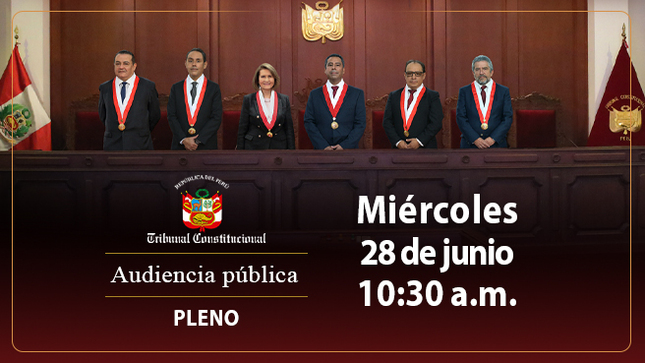 Pleno del TC sesionará en audiencia pública el miércoles 28 de junio y verá 32 causas