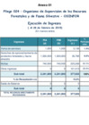 Vista preliminar de documento Ejecucion_2015_029tnfL