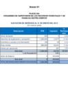 Vista preliminar de documento ejec_psptal_ene_2014dofX4