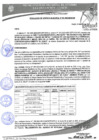 Vista preliminar de documento 241