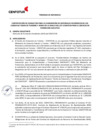 Vista preliminar de documento Términos de referencia