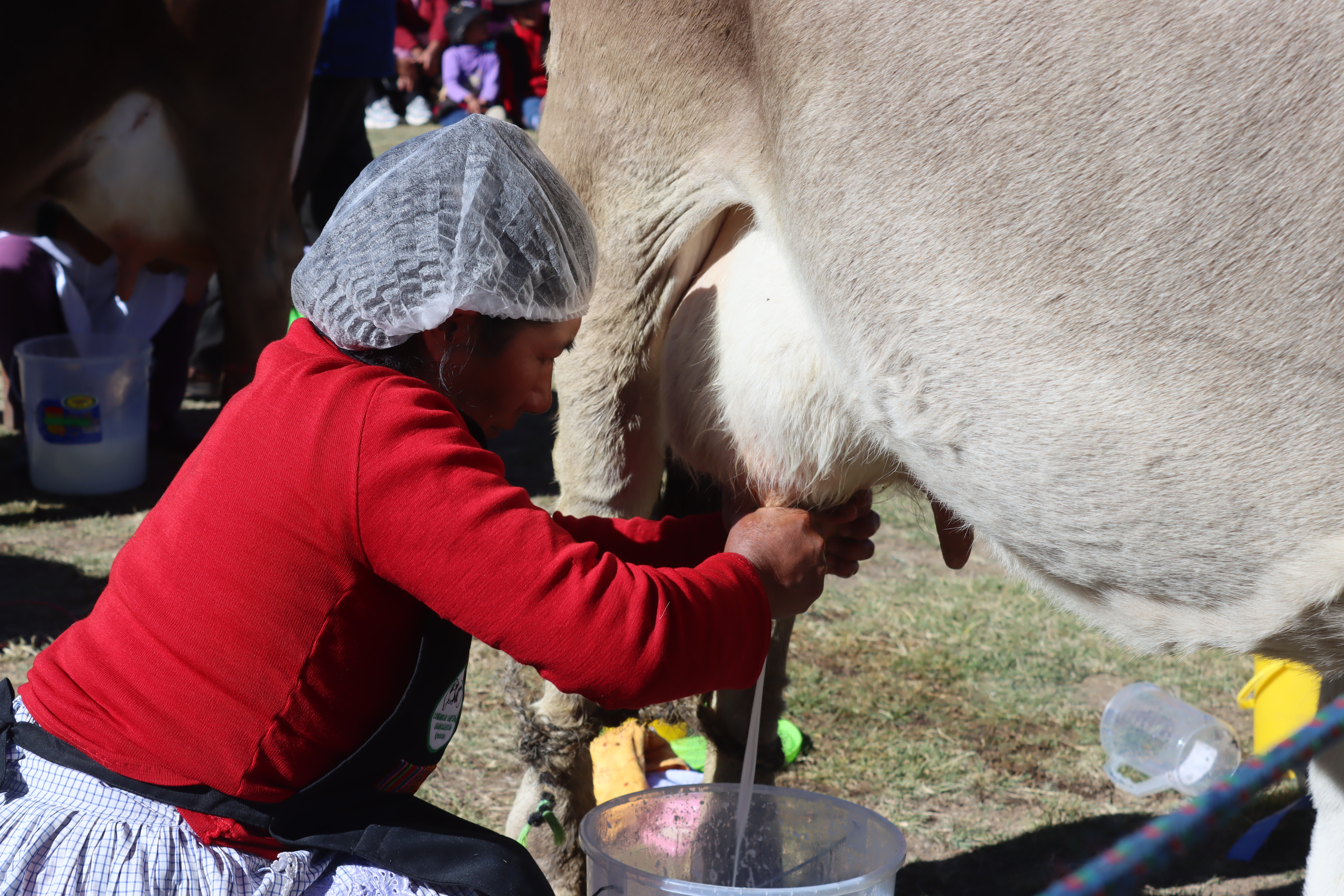Con gran éxito se desarrolló Feria Agropecuaria Corpus Christi y Festival del Queso Huancasanquino 2023