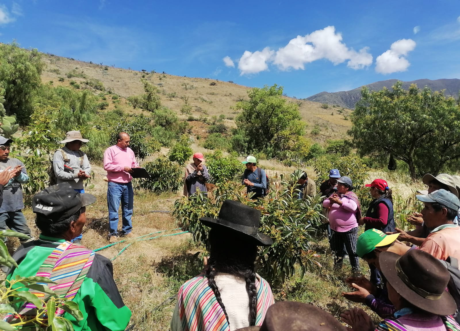 Capacitan a agricultores en la prevención de deficiencias nutricionales en el cultivo de palto