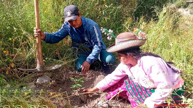 Fortalecen en manejo forestal en la provincia de Fajardo