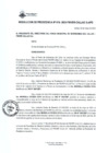 Vista preliminar de documento 015-2023-FINVER-PD