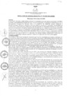 Vista preliminar de documento rgm1102020gmampmn