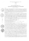 Vista preliminar de documento rgm01332020gmampmn