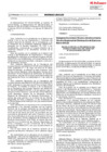 Vista preliminar de documento 4. Res. N° 053-2019-COD (Designación ST PIU-AQP) El Peruano [GENERAL] (1)