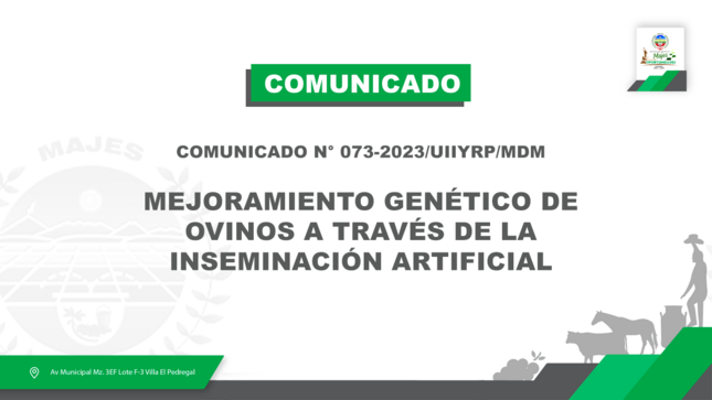 COMUNICADO N° 0073-2023/UIIYRP/MDM