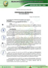 Vista preliminar de documento ORDENANZA 271