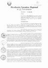 Vista preliminar de documento R.E.R 199-2019