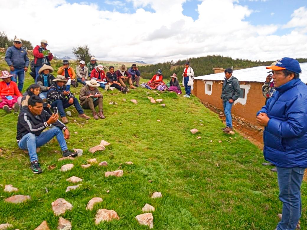 Municipalidad de Chumbivilcas realiza pasantía a presidentes de 22 asociaciones de cuyes de Santo Tomás