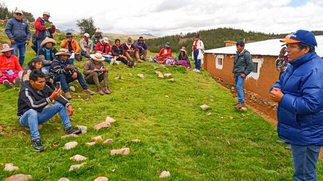 Municipalidad de Chumbivilcas realiza pasantía a presidentes de 22 asociaciones de cuyes de Santo Tomás